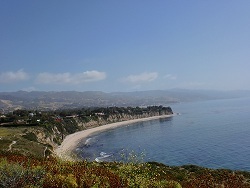 biorobo1's profile picture. Logic circuits in human form wondering what are we up to? How did we let ourselves get here? Does it have to be this way? Is there a safe way out?