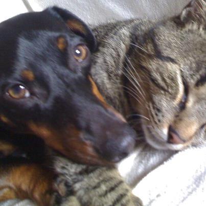 LokosporBixos's profile picture. 