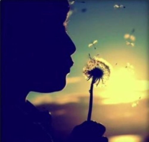 TheMustDos's profile picture. Simple Wishes in life. Basically, the must dos.