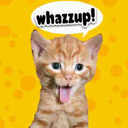 Ronan Andrew Harvey - @RonanAndrew - Twitter