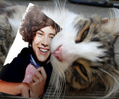 I ♥ Harry Styles :P I follow everyone back. If not just ask ♪ maybe I didn't notice you... sorry :) #CatsLoveHarryStyles