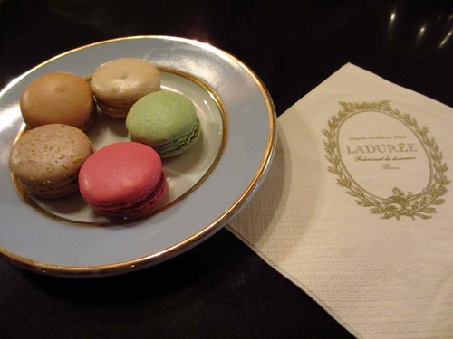 DonnaAloe's profile picture. 