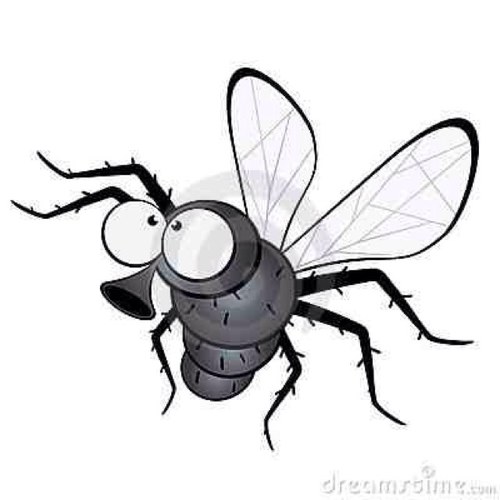 ScouseHouseFly's profile picture. 