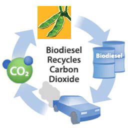 Biofuels world