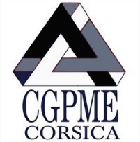 Organisation patronale au service des TPE / PME / PMI insulaires.