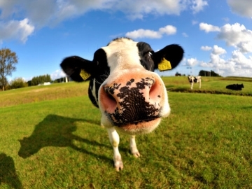 maggie_ashton's profile picture. 