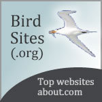 Bird Sites