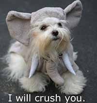 nik_axrs's profile picture. 