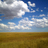 BigYearColorado