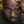 vincentdavis (@vincentdavis) profile picture