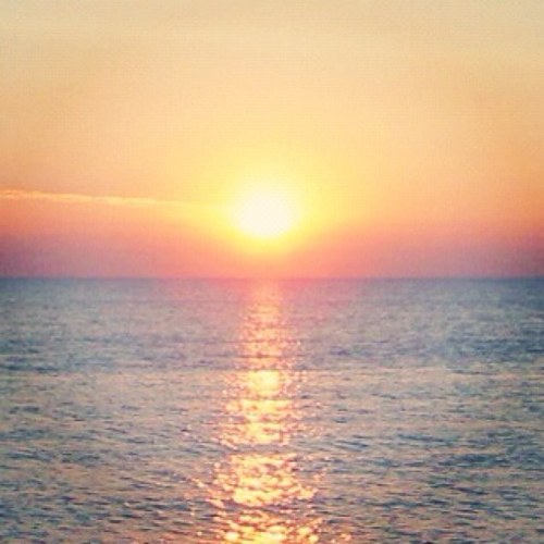 valentini_lilly's profile picture. i follow back :)     skype: lillyvalentini8   email: lillyvalentini8@gmail.com    instagram: lillyvalentini8