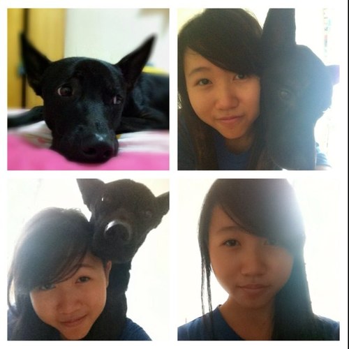 ebuIIient's profile picture. I loved you at your darkest.