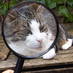 MBee2 (@mbee2) Twitter profile photo MBee2 (@mbee2) Twitter profile photo