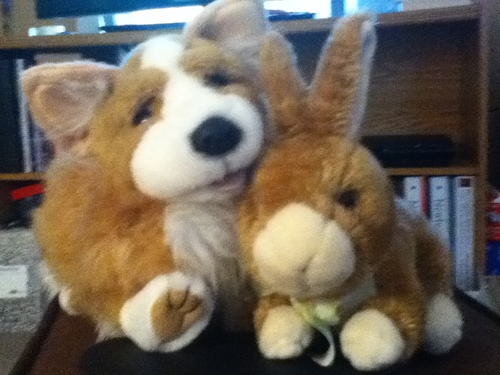 Biscuits & Carrots! The adventures of Kiddo and Lucky prove that friendship knows no limits.