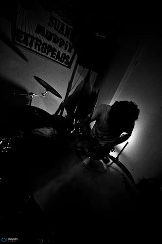 pollojorgepollo's profile picture. 