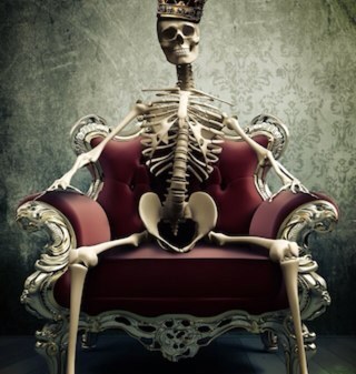 faris1feda's profile picture. 