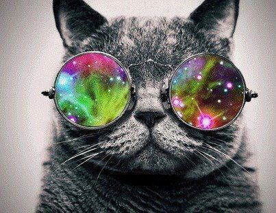 #TeamFollowBack #F4F ツ