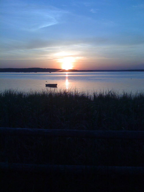 Deseeus's profile picture. 