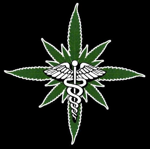Babylon, Dey no take heed when Jah say, Free Up The Collie Weed! I goofed the floof & broken my arm; darn MEST! Need a Scilon touch assist XD
