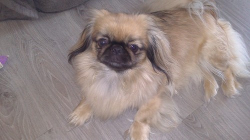 RielMandy's profile picture. 