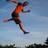 theday's profile image