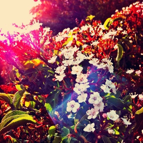 fashionblog1234's profile picture. Loves fashion, blogs about it and supports other great fashion bloggers!