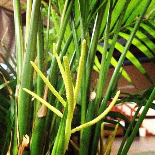 streetwarehouse's profile picture. Events. Recording Studio. Cyclorama Wall. 214.515.0563