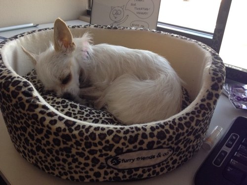 MissMollyPants's profile picture. 