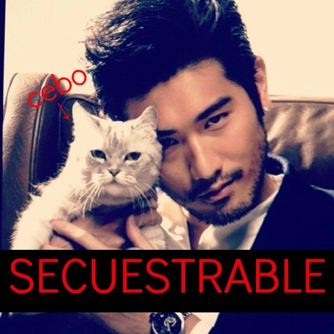 Cuenta dedicada al noble arte de secuestrar al Gran Brujo De Brooklyn