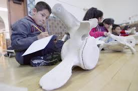 John_Muir_ES's profile picture. John Muir Elementary School 380 Webster Street SF, CA 94117