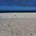 Sarah Estacio - @EstacioSarah - Twitter