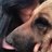 Dina_Ra90's profile image