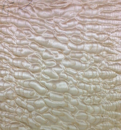 GuitrWoodExprts's profile picture. Best Wood - Best Prices! We've been providing great tone wood to music industry giants for 20 years. Learn who the pros use!