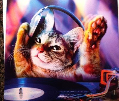 mollyg11's profile picture. 