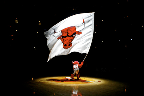 BrickABull's profile picture. 