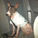 Elliot Wallace - @elliotness68 - Twitter