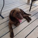 Les Foster - @foster_les - Twitter