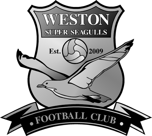 Established in 2009, Weston Super Seagulls FC are a local football club who are rapidly progressing through the WSM & District leagues. Our aim is the very top!