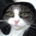 EHaigh (@mrshaighot) Twitter profile photo EHaigh (@mrshaighot) Twitter profile photo
