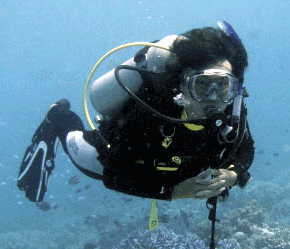 Born & grown up in Korea, Living in Australia with Japanese. Passionate about diving.