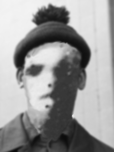 Catbulb42's profile picture. mammalian biped