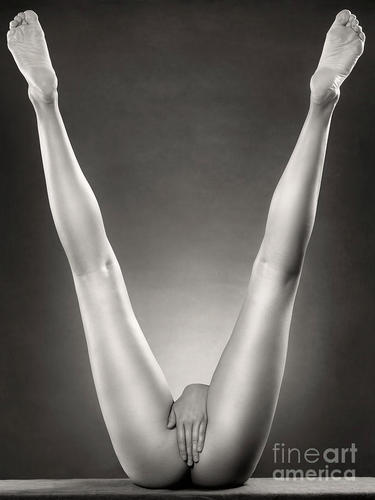 The___V's profile picture. Just a girl telling everyone when #HeWantsTheV. You're welcome.