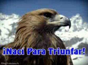 Sebasthian42's profile picture. Estudiante