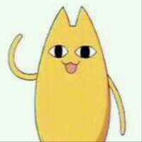 What_Doctor's profile picture. whovian