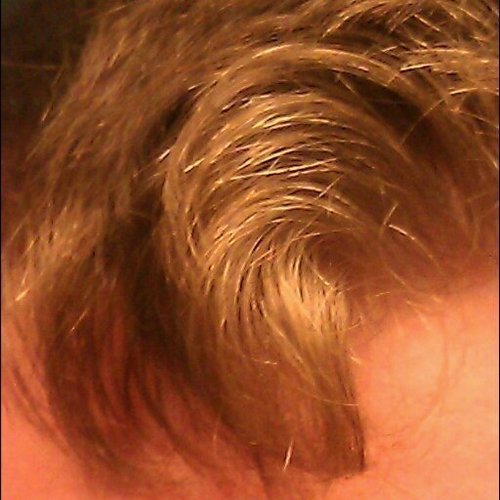 curldelaphil's profile picture. 