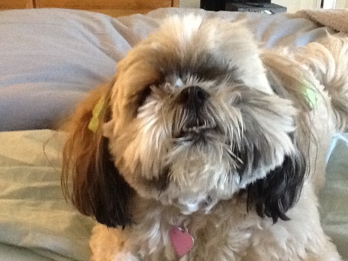 1vegasjack's profile picture. Don't judge a person until you've walked a mile in their shoes