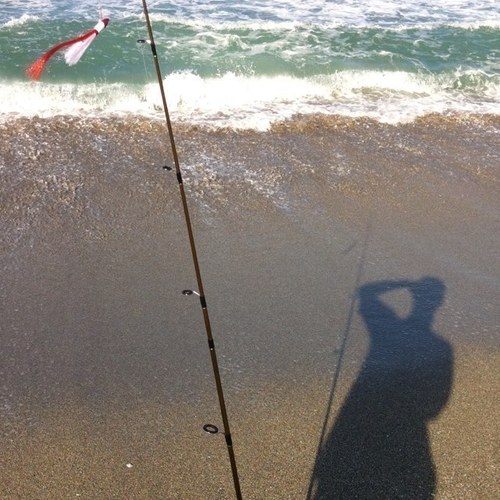 jimmywoolke's profile picture. 