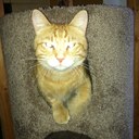 Felix - @EllenGoldman7 - Twitter