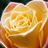 maricia (@maricia76) Twitter profile photo
