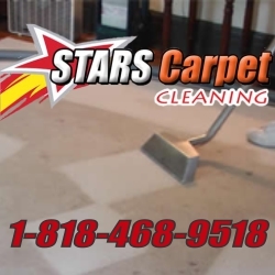 scarpetcleaning Profile Picture